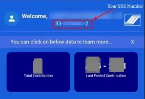 SSS Number