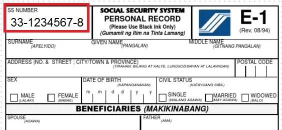 E1 Form